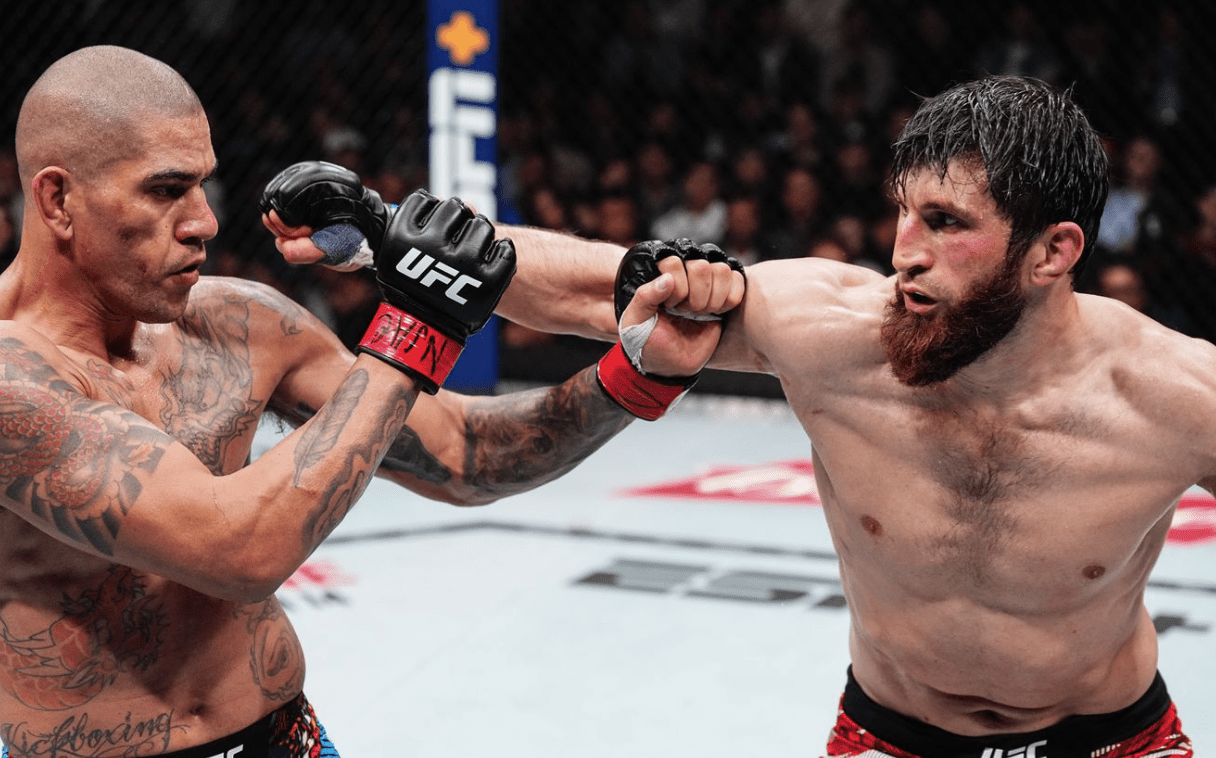 Ankalaev Dethrones Chama To Become Lightweight Champ